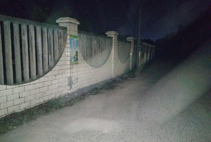 除草刷墻灑汗水，苗圃外貌換新顏