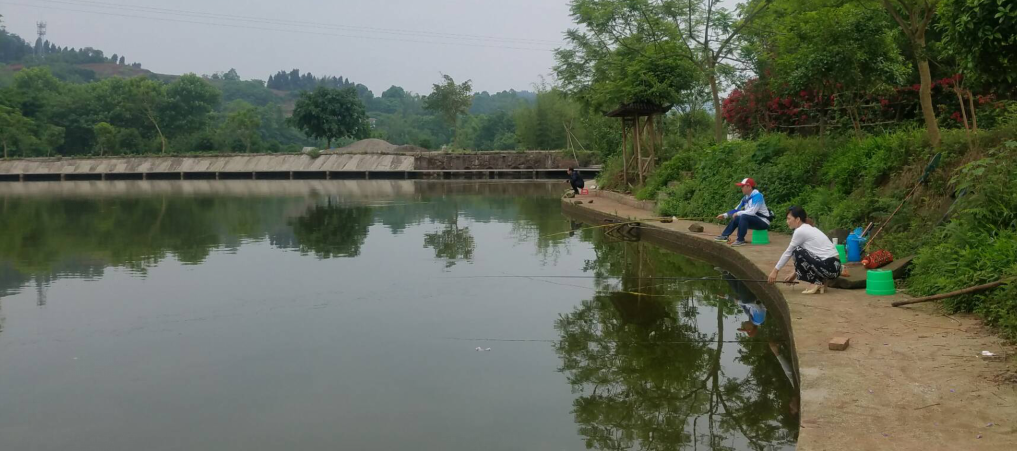 放松心情 享受生活 促進工作