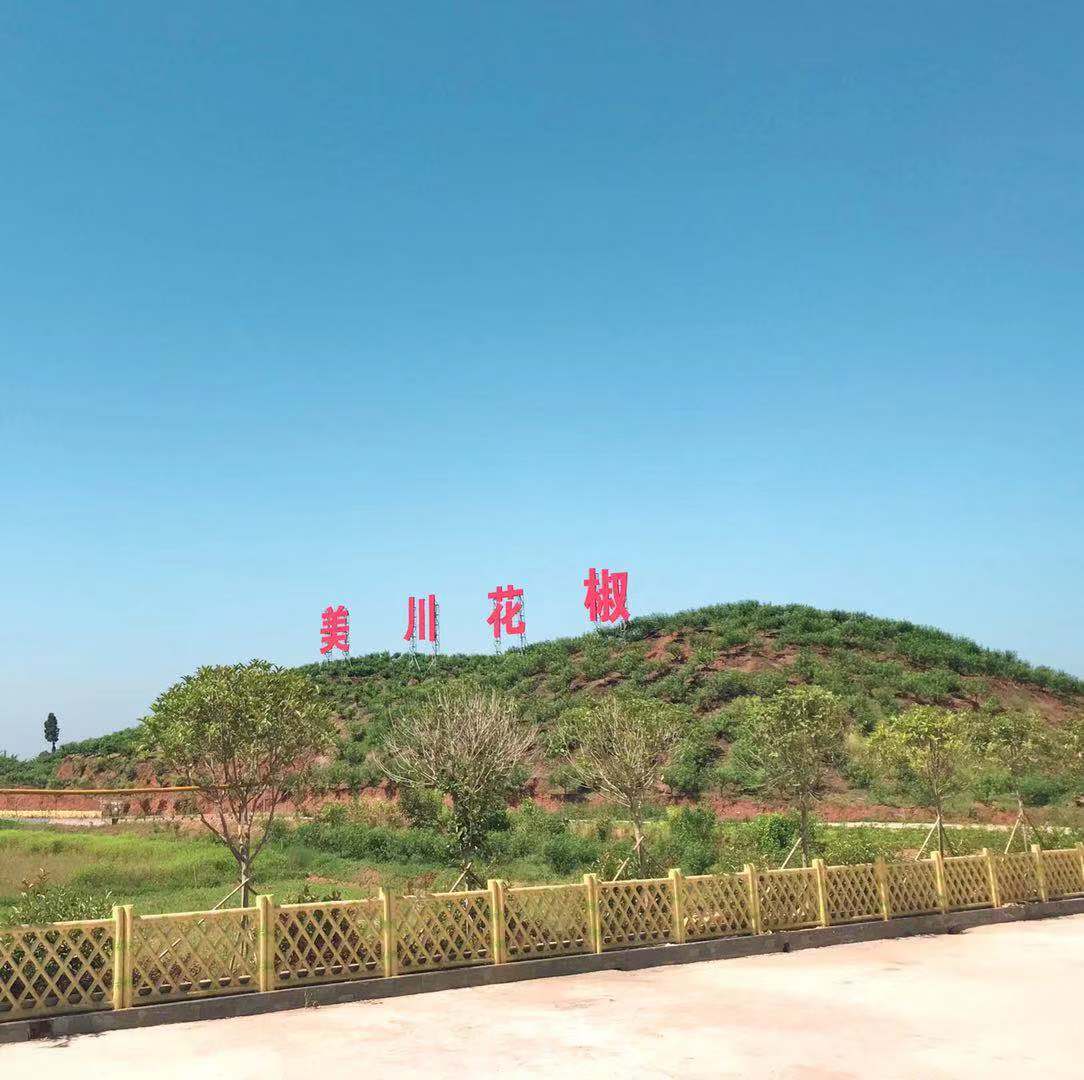 村企共創(chuàng)，建美麗宜居鄉(xiāng)村