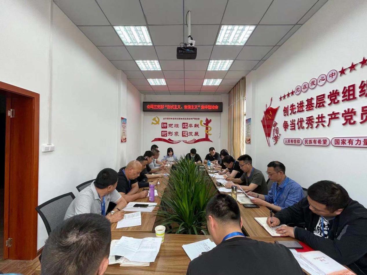 公司三支部召開黨員大會暨“形式主義、官僚主義”集中整治工作會