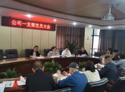 公司一支部開展 “學(xué)黨史、強信念、知黨恩、跟黨走” 黨史讀書交流會主題黨日活動