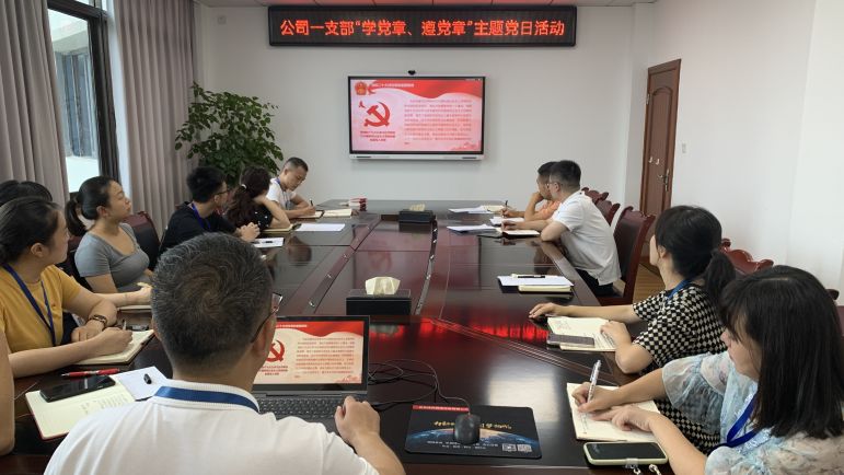 清源水務(wù)公司黨委組織開(kāi)展“學(xué)黨章、遵黨章”系列主題黨日活動(dòng)